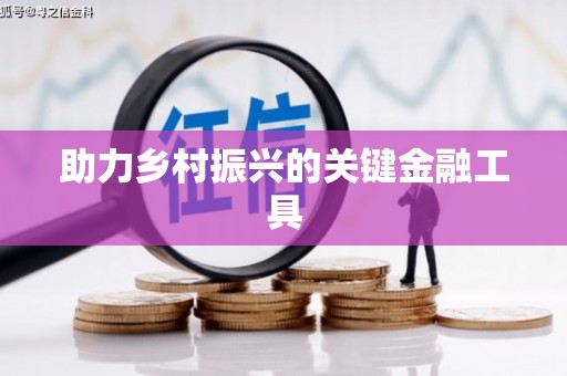 平舆助力乡村振兴的关键金融工具