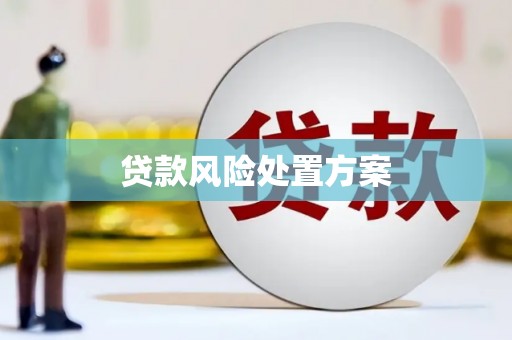 平舆贷款风险处置方案