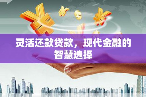 平舆灵活还款贷款，现代金融的智慧选择