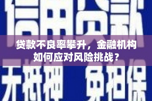 平舆贷款不良率攀升，金融机构如何应对风险挑战？