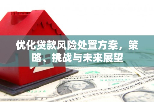 平舆优化贷款风险处置方案，策略、挑战与未来展望