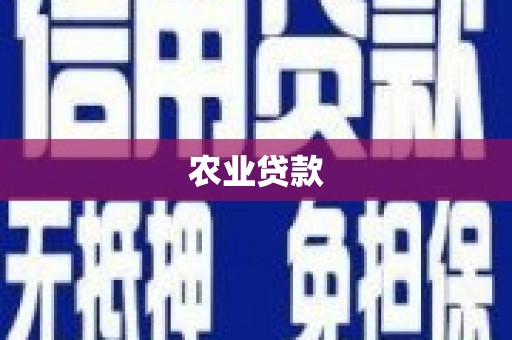 平舆农业贷款