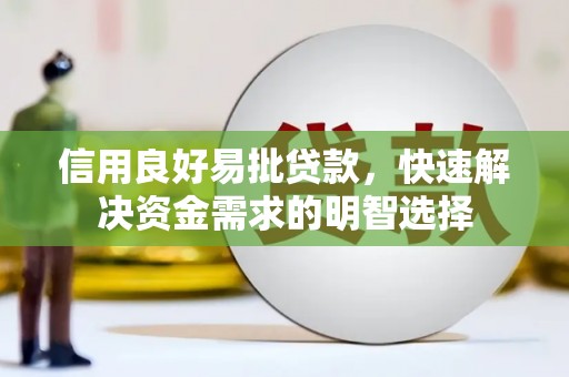 平舆信用良好易批贷款，快速解决资金需求的明智选择