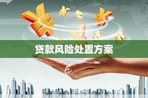 平舆贷款风险处置方案