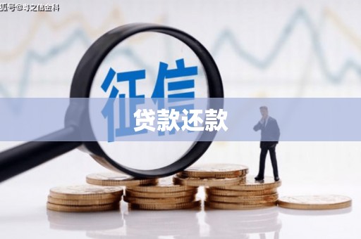 平舆贷款还款