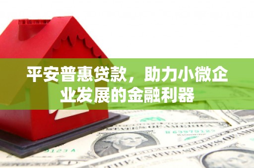 平舆平安普惠贷款，助力小微企业发展的金融利器