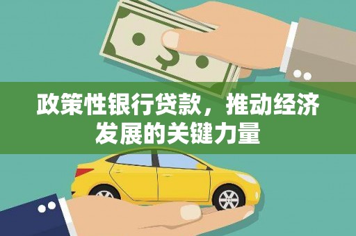 平舆政策性银行贷款，推动经济发展的关键力量