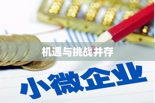平舆机遇与挑战并存