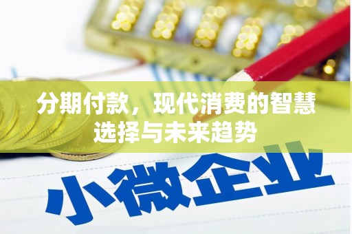 平舆分期付款，现代消费的智慧选择与未来趋势