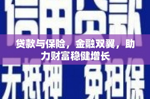 平舆贷款与保险，金融双翼，助力财富稳健增长