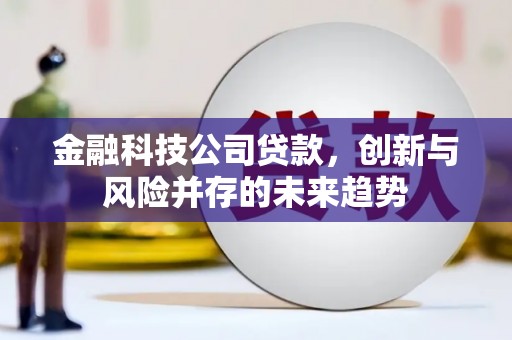 平舆金融科技公司贷款，创新与风险并存的未来趋势