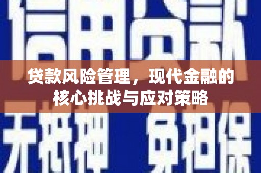 平舆贷款风险管理，现代金融的核心挑战与应对策略