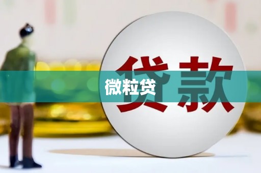 平舆微粒贷