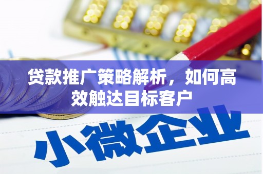 平舆贷款推广策略解析，如何高效触达目标客户