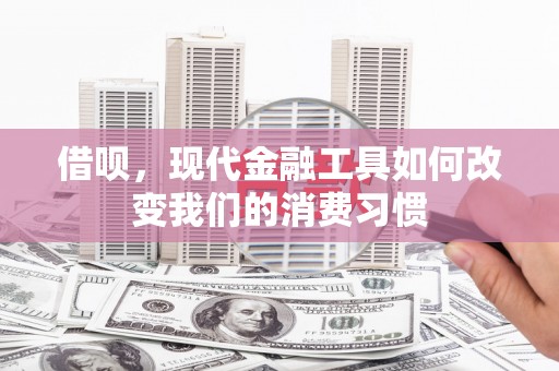 平舆借呗，现代金融工具如何改变我们的消费习惯