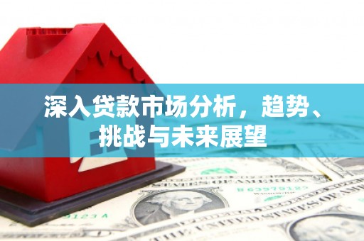 平舆深入贷款市场分析，趋势、挑战与未来展望