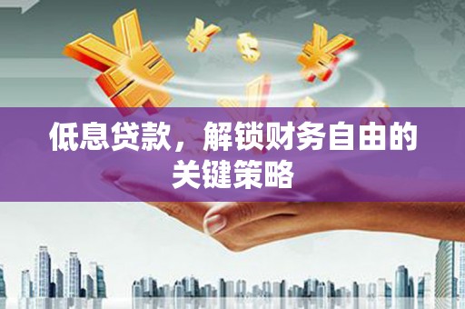 平舆低息贷款，解锁财务自由的关键策略