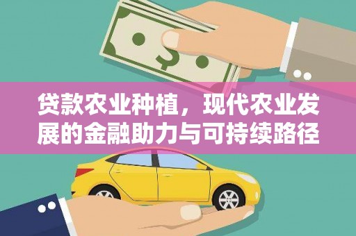 平舆贷款农业种植，现代农业发展的金融助力与可持续路径