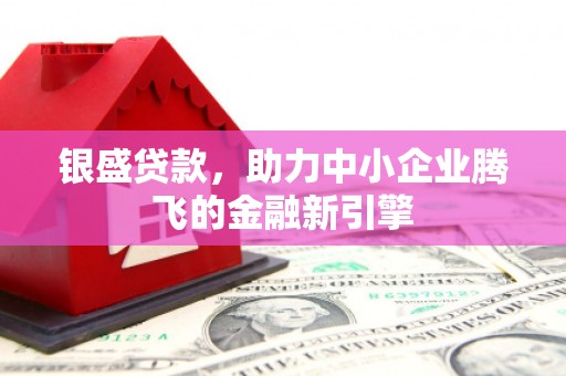 平舆银盛贷款，助力中小企业腾飞的金融新引擎