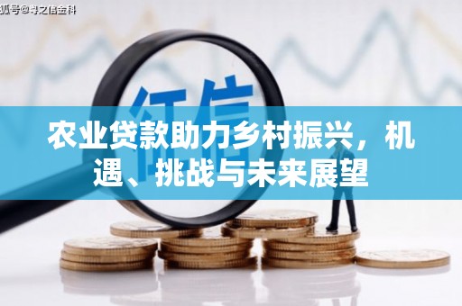平舆农业贷款助力乡村振兴，机遇、挑战与未来展望