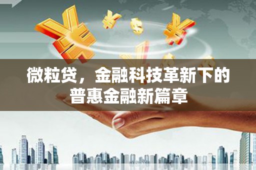 平舆微粒贷，金融科技革新下的普惠金融新篇章