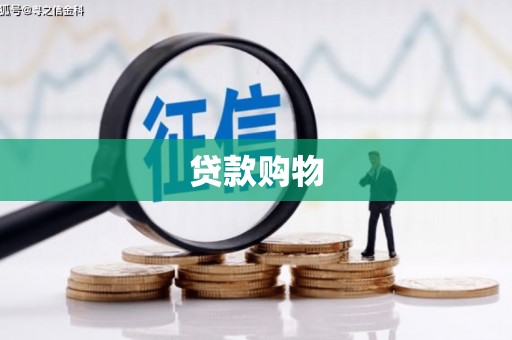 平舆贷款购物