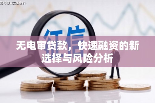 平舆无电审贷款，快速融资的新选择与风险分析