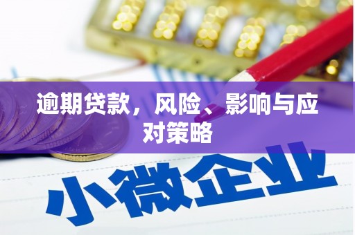 平舆逾期贷款，风险、影响与应对策略