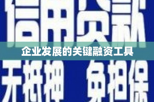 平舆企业发展的关键融资工具