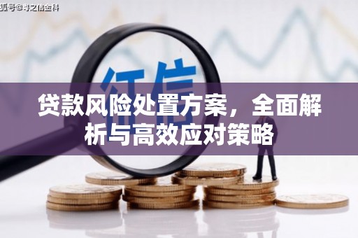 平舆贷款风险处置方案，全面解析与高效应对策略