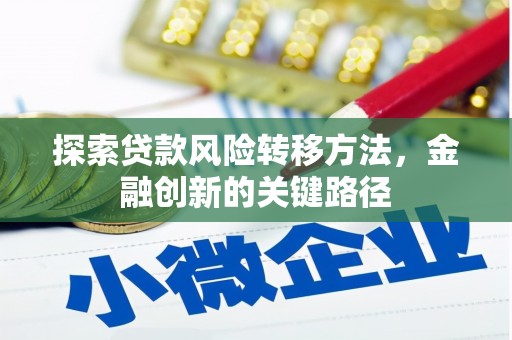 平舆探索贷款风险转移方法，金融创新的关键路径