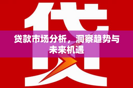 平舆贷款市场分析，洞察趋势与未来机遇