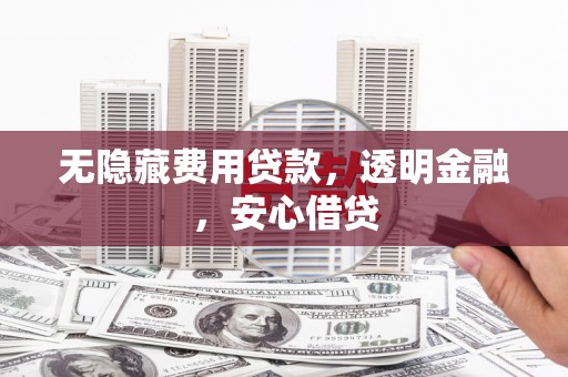 平舆无隐藏费用贷款，透明金融，安心借贷