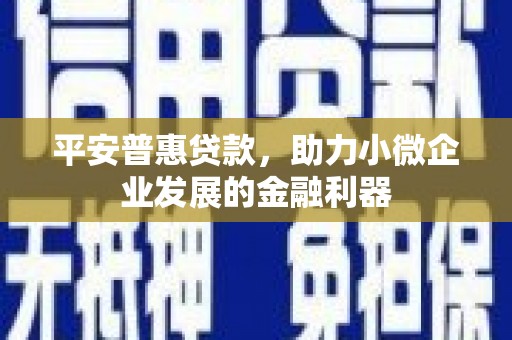 平舆平安普惠贷款，助力小微企业发展的金融利器