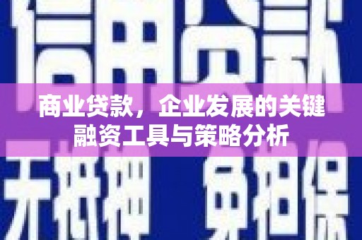平舆商业贷款，企业发展的关键融资工具与策略分析