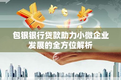 平舆包银银行贷款助力小微企业发展的全方位解析