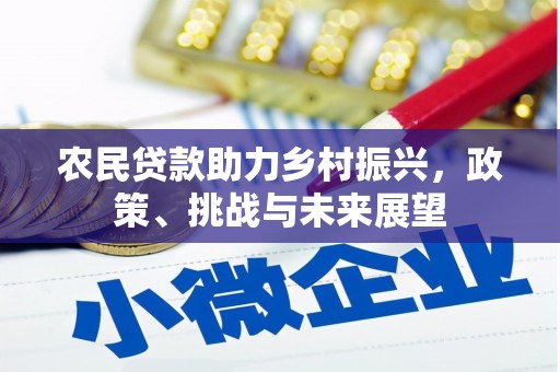 平舆农民贷款助力乡村振兴，政策、挑战与未来展望