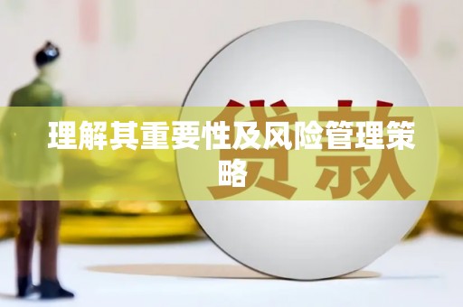 平舆理解其重要性及风险管理策略