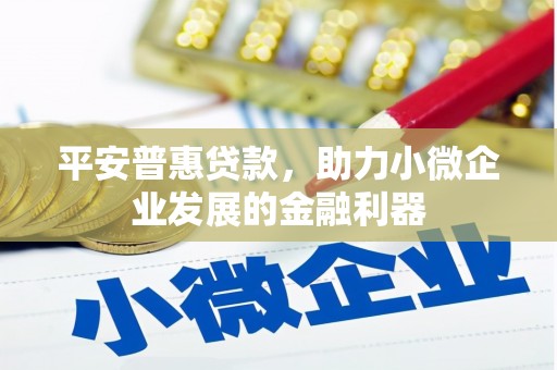 平舆平安普惠贷款，助力小微企业发展的金融利器