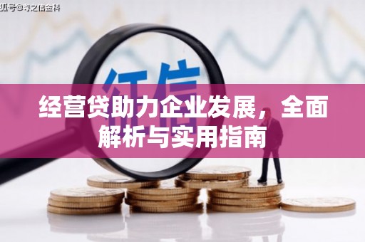 平舆经营贷助力企业发展，全面解析与实用指南