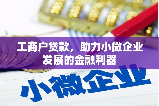平舆工商户贷款，助力小微企业发展的金融利器