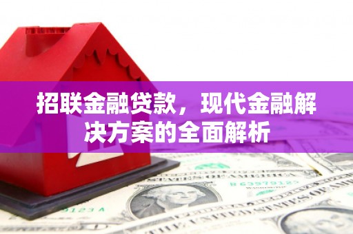 平舆招联金融贷款，现代金融解决方案的全面解析