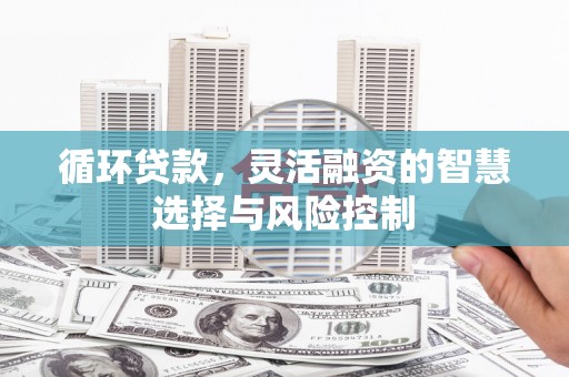 平舆循环贷款，灵活融资的智慧选择与风险控制