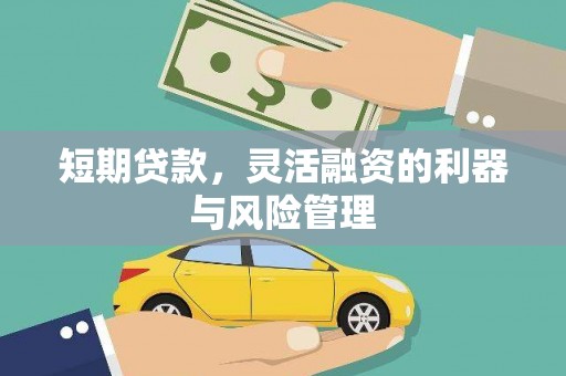 平舆短期贷款，灵活融资的利器与风险管理