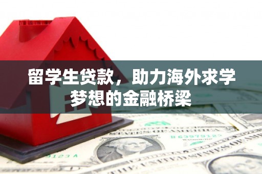 平舆留学生贷款，助力海外求学梦想的金融桥梁