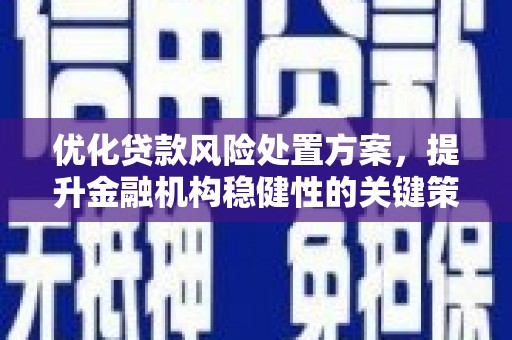 平舆优化贷款风险处置方案，提升金融机构稳健性的关键策略