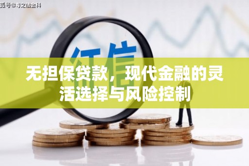 平舆无担保贷款，现代金融的灵活选择与风险控制