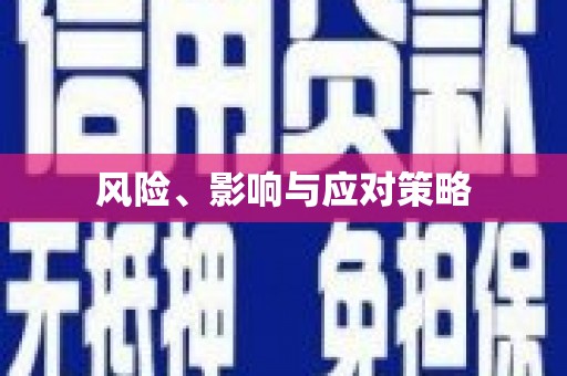 平舆风险、影响与应对策略