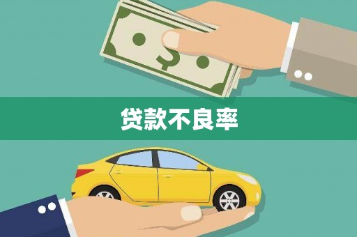 平舆贷款不良率