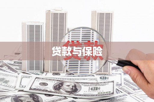 平舆贷款与保险